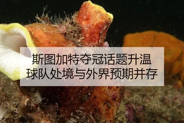 si-tu-jia-te-duo-guan-hua-ti-sheng-wen-qiu-dui-chu-jing-yu-wai-jie-yu-qi-bing-cun-2-162.jpg